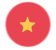 Vietnamita